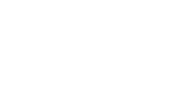 emerginC Salon Partner Logo Salamander