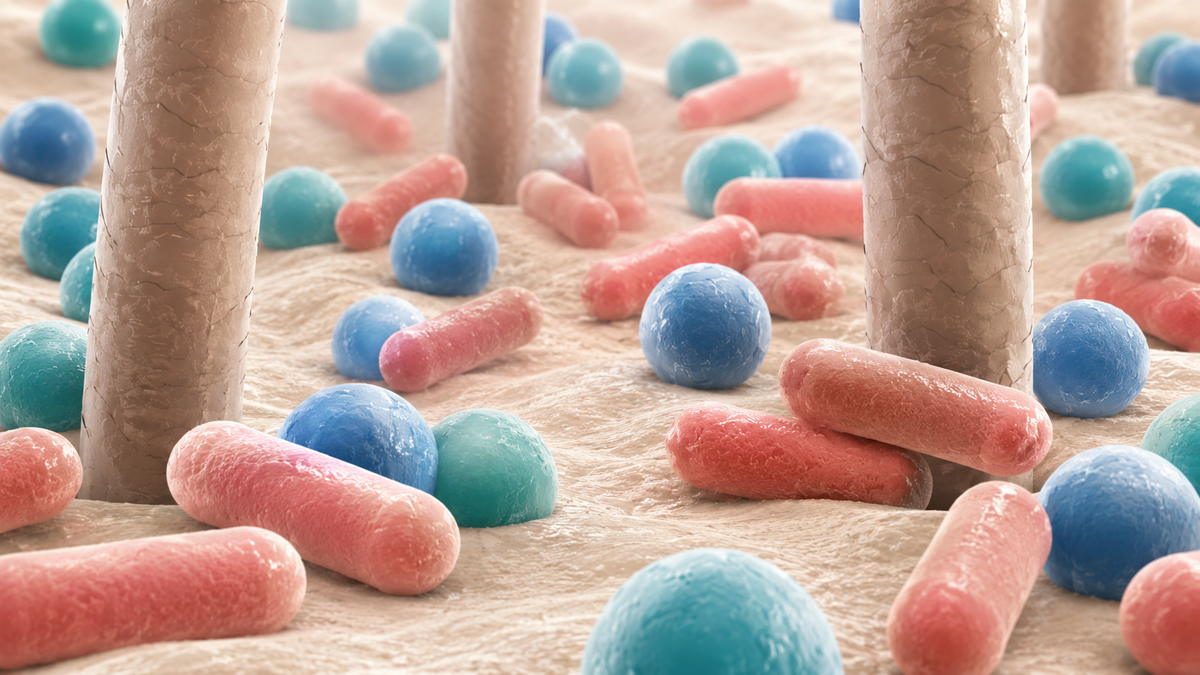 The Skin Microbiome Explained: What It Is &amp; Why It Matters