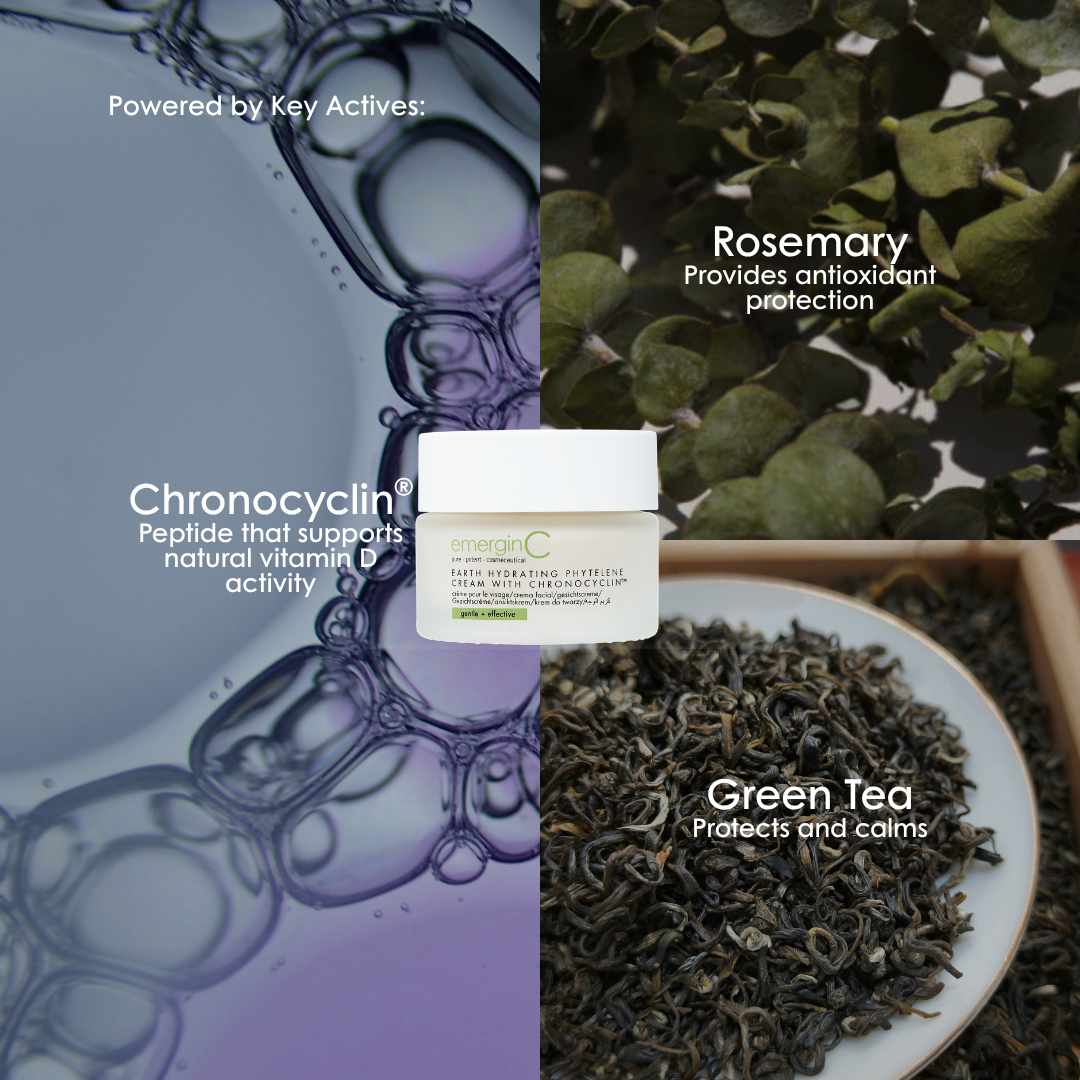Key ingredients in emerginC Earth Hydrating Phytelene Cream: rosemary, Chronocyclin and green tea.