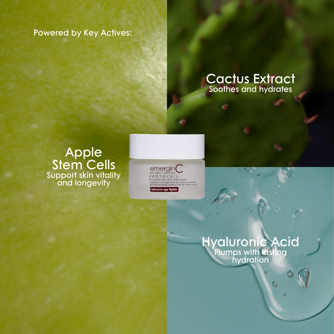 Key ingredients in emerginC Protocell Cream: apple stem cells, cactus extract and hyaluronic acid.