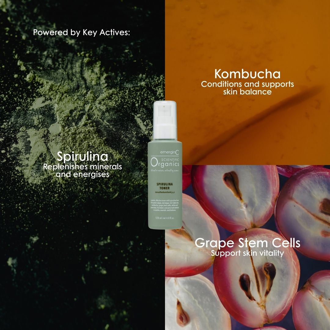 Key actives in Scientific Organics Spirulina Toner: spirulina, kombucha and grape stem cells.