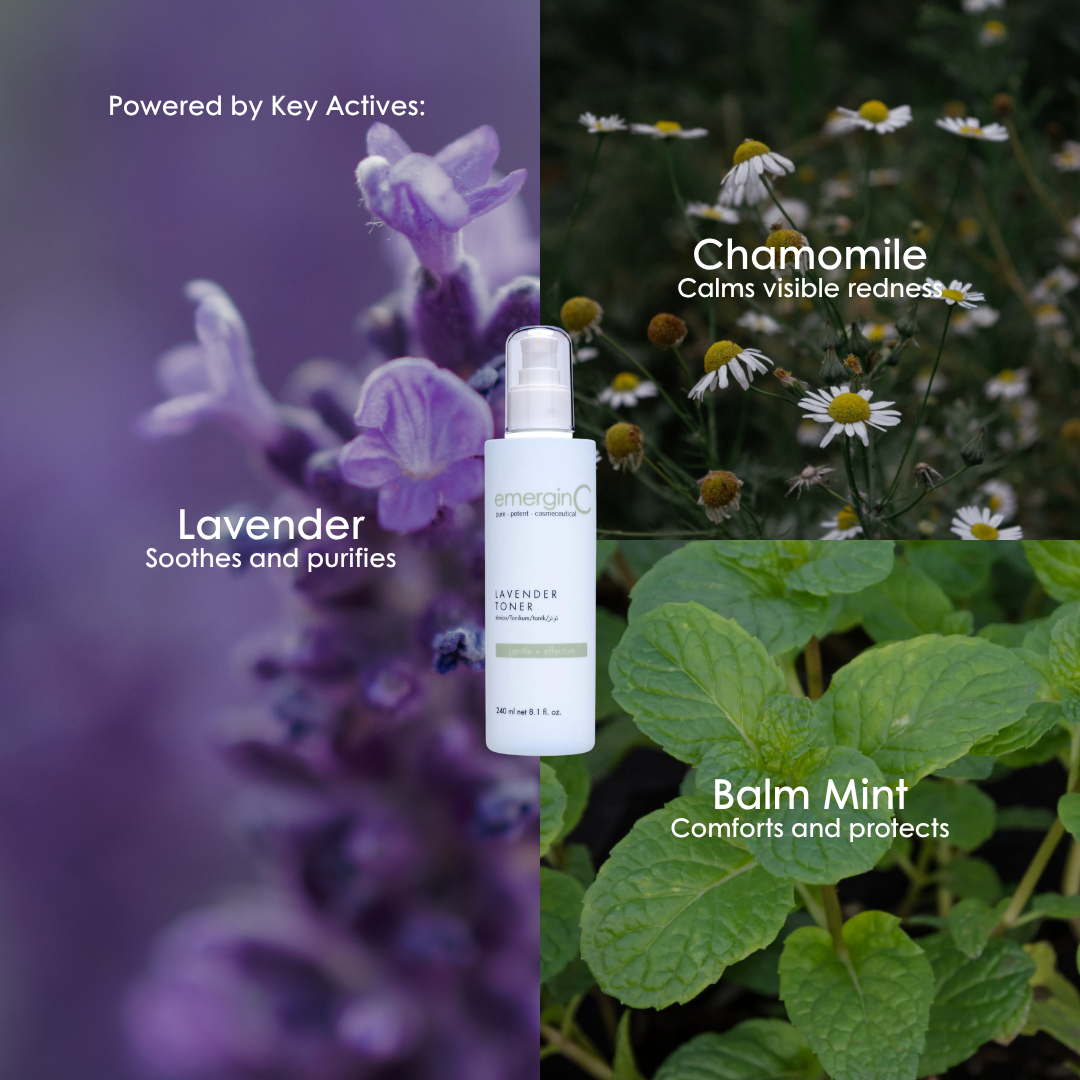 Key ingredients in emerginC Lavender Toner: lavender, chamomile and balm mint.