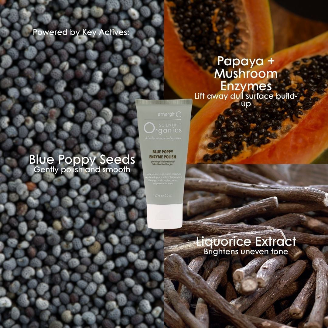 Key actives in Scientific Organics Blue Poppy Enzyme Polish: blue poppy seeds, papaya and mushroom enzymes, and liquorice extract.