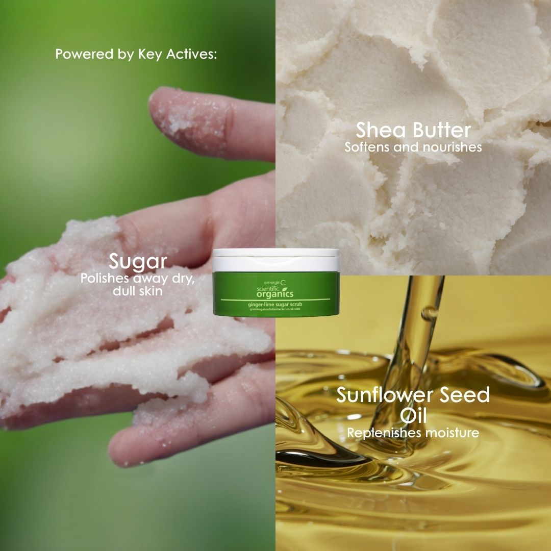 Key actives in Scientific Organics Ginger-Lime Sugar Scrub: sugar, shea butter and sunflower seed oil.