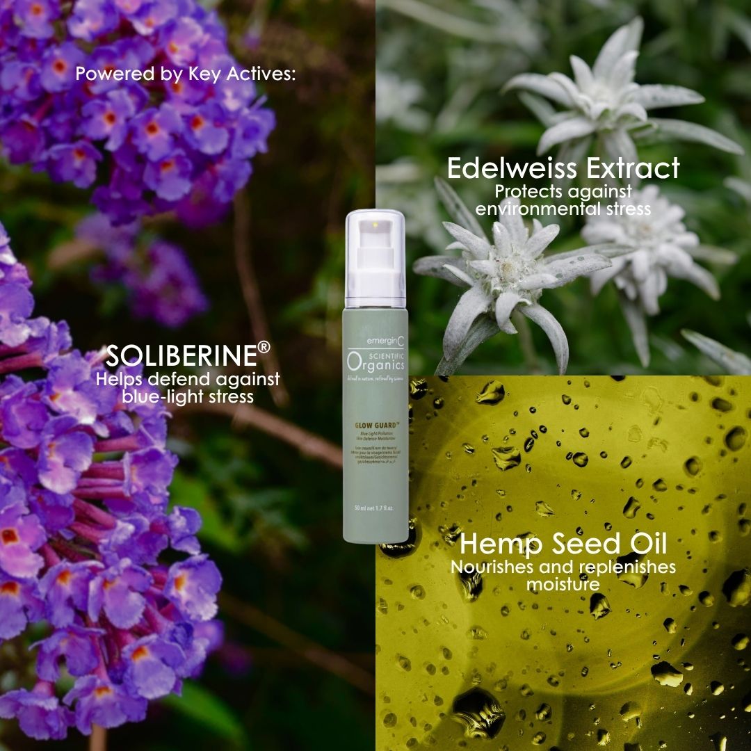 Key actives in Scientific Organics Glow Guard: SOLIBERINE, edelweiss extract and hemp seed oil.