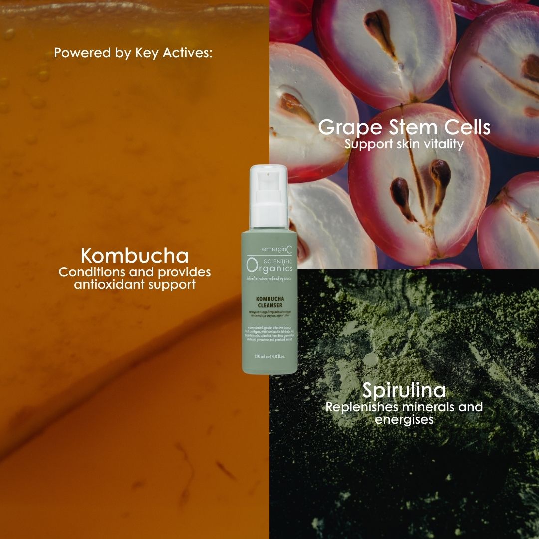 Key actives in Scientific Organics Kombucha Cleanser: kombucha, grape stem cells and spirulina.