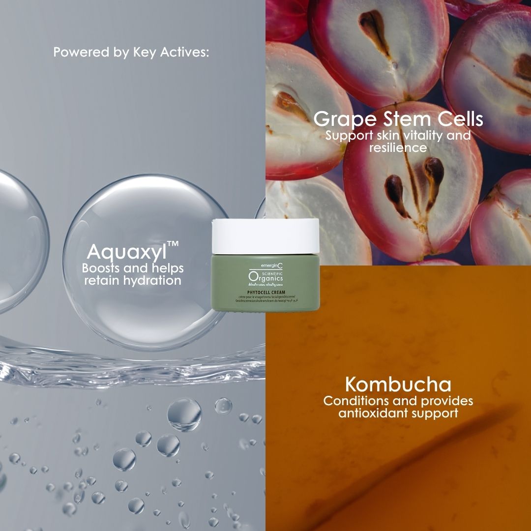 Key actives in Scientific Organics Phytocell Cream: grape stem cells, kombucha and Aquaxyl.