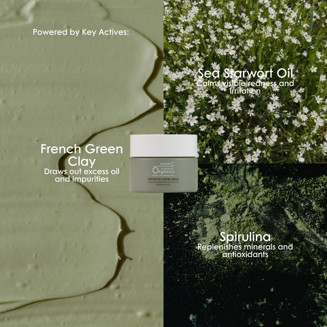 Key actives in Scientific Organics Phytocell Detox Mask: French green clay, sea starwort oil and spirulina.